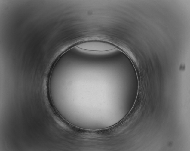 X0000103450389200809121131