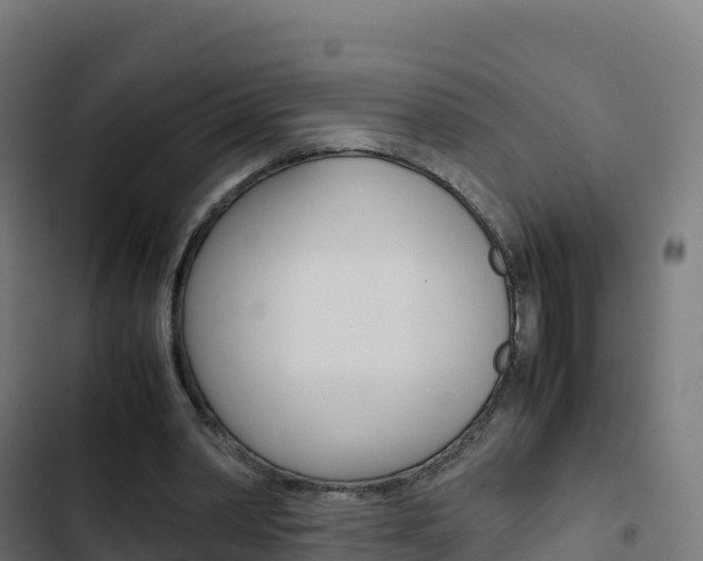 X0000103450390200809121131