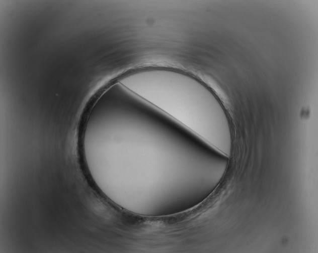 X0000103450391200809121131