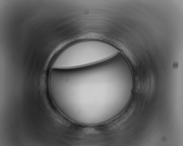 X0000103450392200809121130