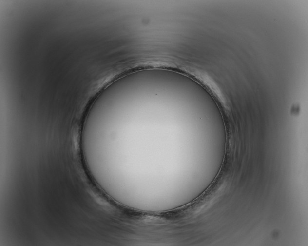 X0000103450393200809121130