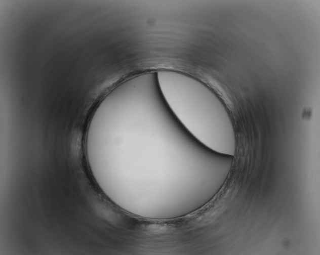 X0000103450394200809121130