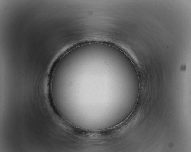X0000103450395200809121130