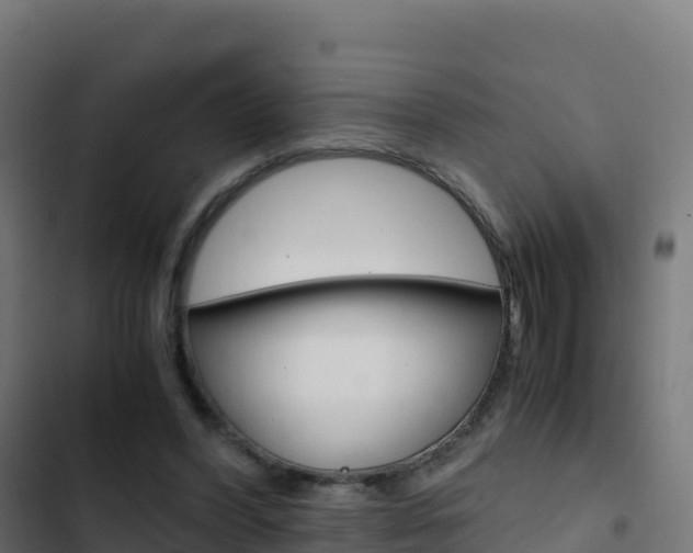 X0000103450396200809121130