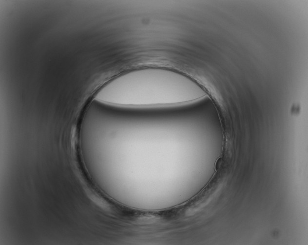 X0000103450397200809121130