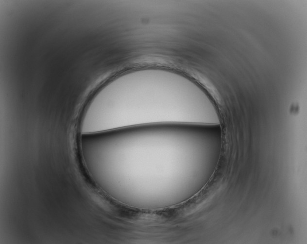 X0000103450399200809121130