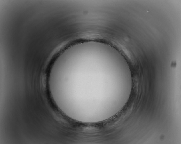 X0000103450400200809121130