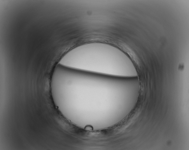 X0000103450401200809121130