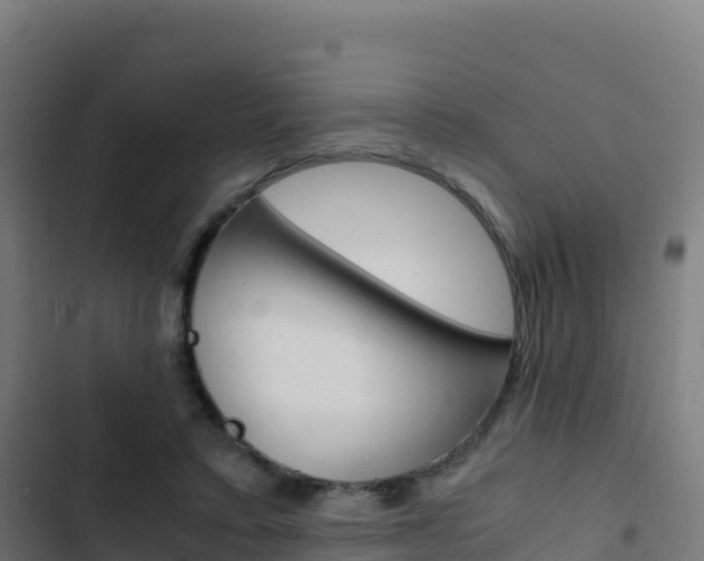 X0000103450403200809121130