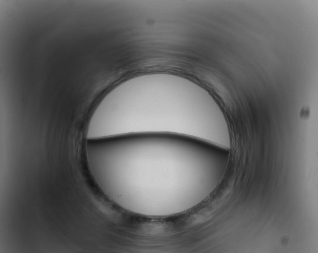 X0000103450404200809121130