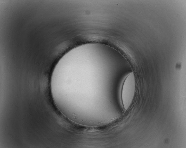 X0000103450407200809121130