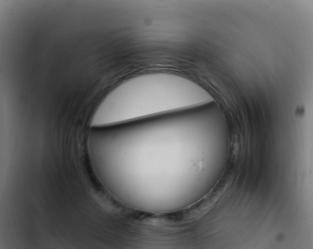 X0000103450408200809121130