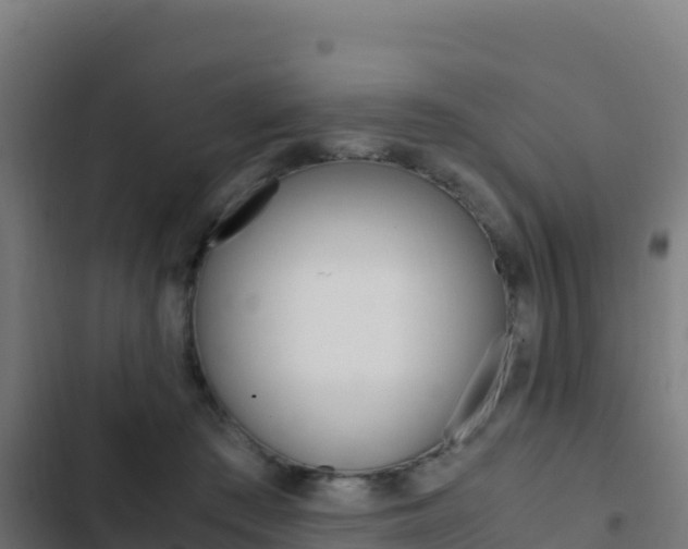 X0000103450409200809121130