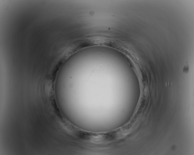 X0000103450411200809121130