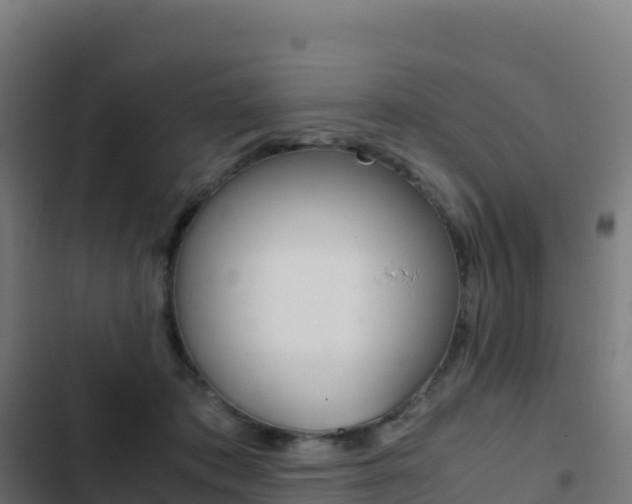 X0000103450413200809121130