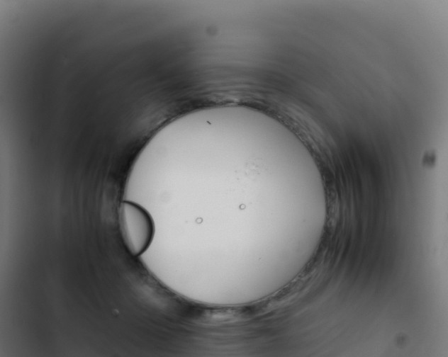 X0000103450414200809121130