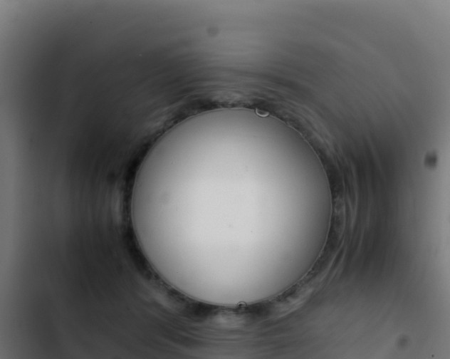 X0000103450416200809121130