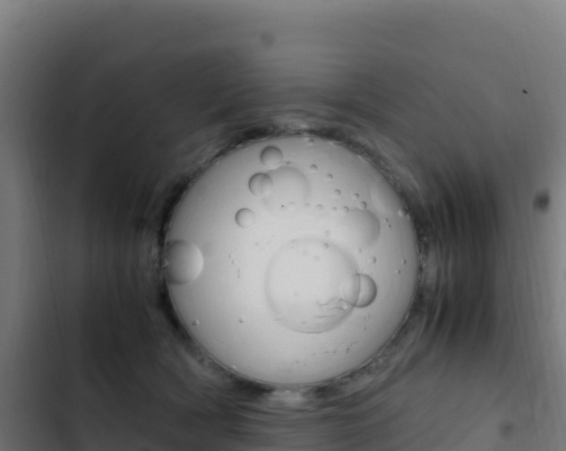 X0000103450418200809121130