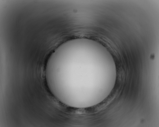 X0000103450420200809121130