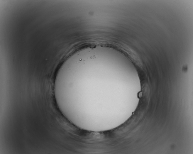 X0000103450421200809121130