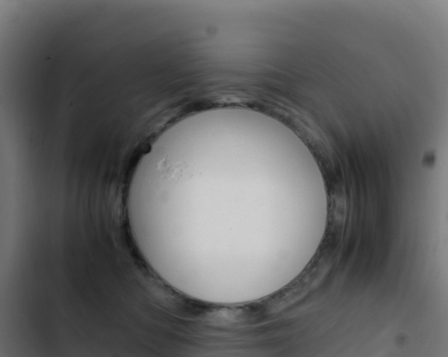 X0000103450422200809121130