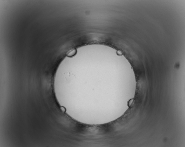 X0000103450423200809121130