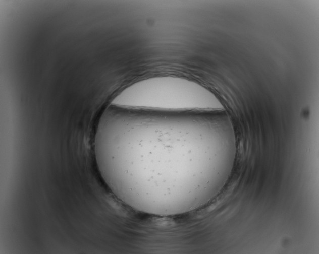 X0000103450424200809121130