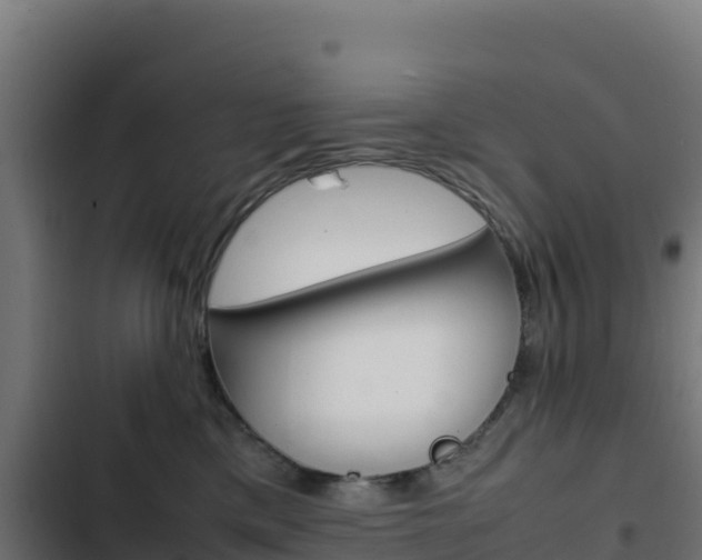 X0000103450425200809121130