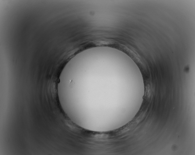X0000103450426200809121130