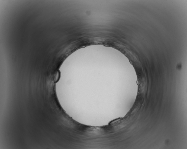 X0000103450427200809121130