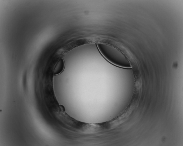 X0000103450429200809121130