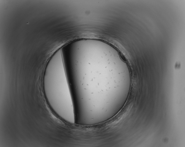 X0000103450433200809121129