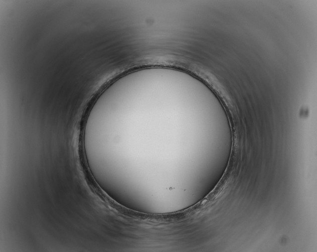 X0000103450434200809121129