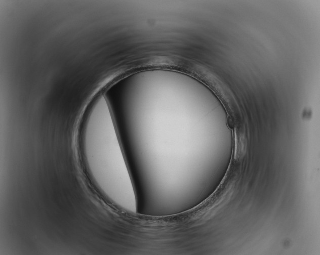 X0000103450435200809121129