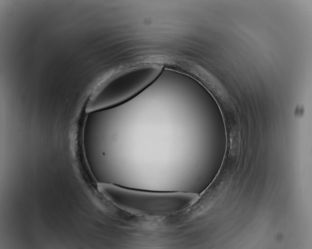 X0000103450436200809121129