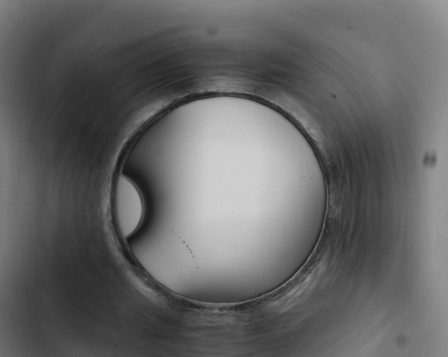X0000103450437200809121129