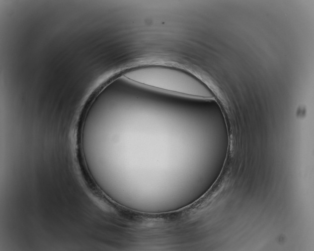 X0000103450438200809121129