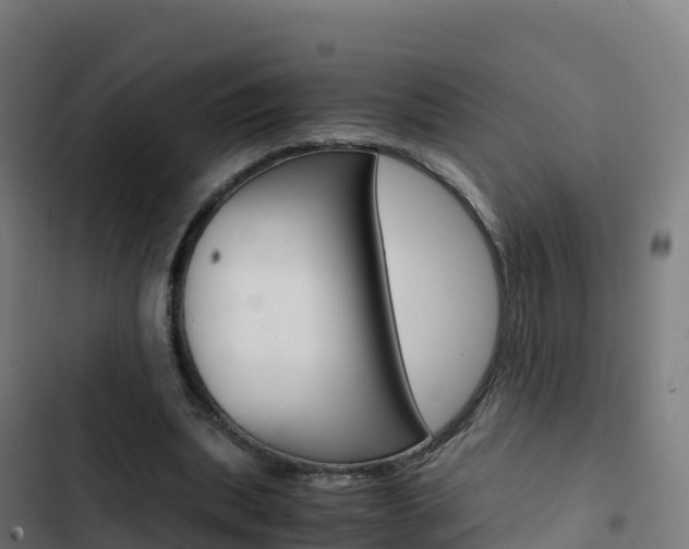 X0000103450439200809121129