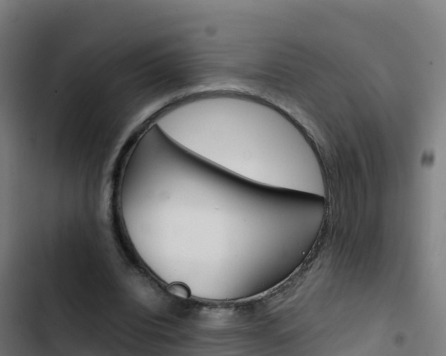 X0000103450440200809121129