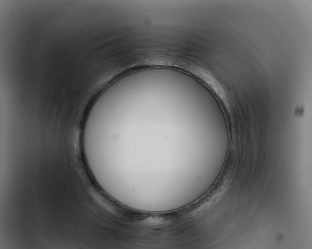 X0000103450441200809121129
