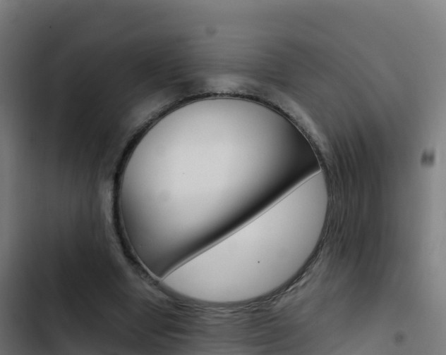 X0000103450442200809121129