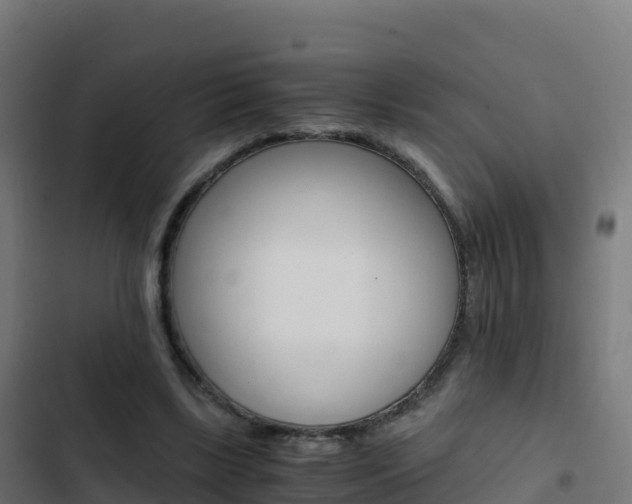 X0000103450443200809121129
