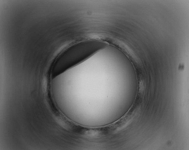 X0000103450444200809121129