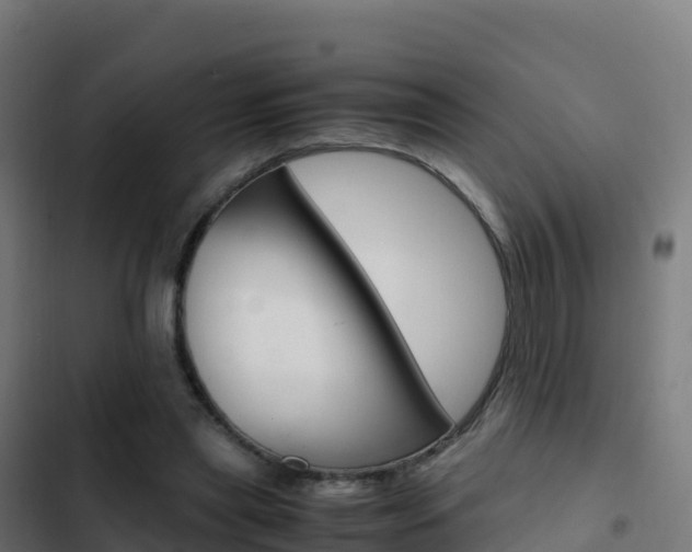 X0000103450445200809121129