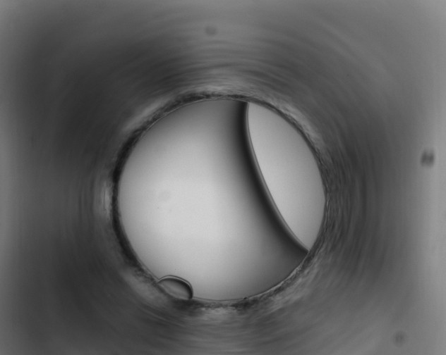 X0000103450446200809121129