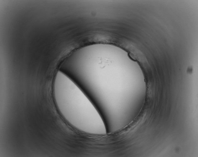 X0000103450449200809121130