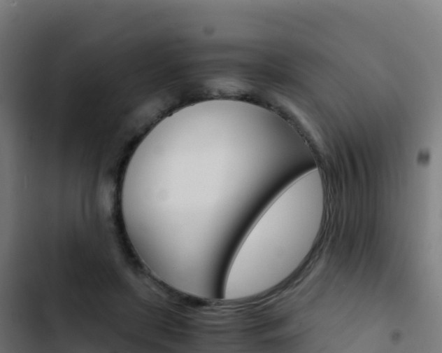 X0000103450451200809121130