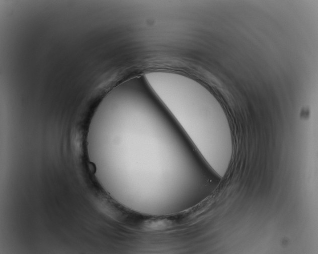 X0000103450452200809121130