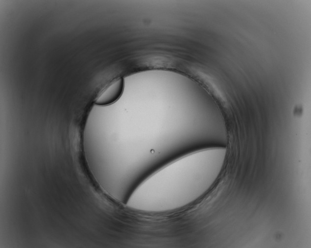 X0000103450453200809121130
