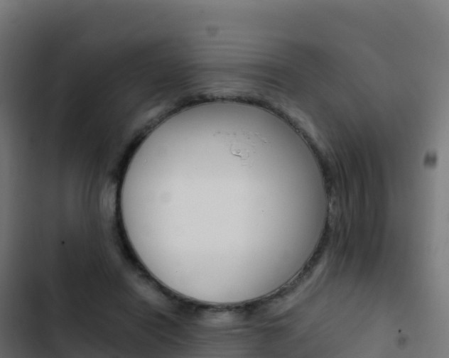 X0000103450454200809121130